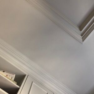 Meet your Posher, Amishi